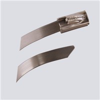 Stainless Steel Cable Ties from Wuhan MZ