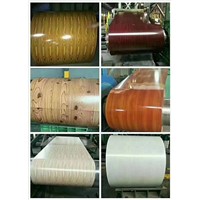 Ppgi, Ppgl, Prepainted Galvanized Steel, Galvanized Coil, Color Coated Steel, Colorsteel, Prepainted Steel Coil, Gi