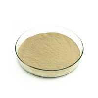 Hot-Selling Cellulase Enzyme Powder Form with More Competitive Price