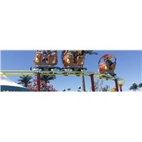 C&amp;amp;Q Amusement Park Track Rides