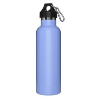 Insulated Outdoor Sports Water Bottles with Handle Carabiner Lid NWSW02
