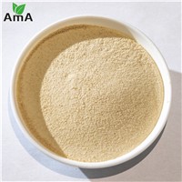 Plant Source Amino Acid Powder 60% Fertilizer for Compound Fertlizer Material