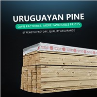 Uruguay Construction Timber Specification Board (Springboard) Plus 100 Yuan Per Cubic Meter, Four Sides See the Line Plu