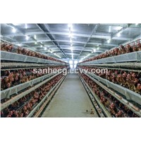 Modern Automatic Prefabricated Steel Frame Chicken Coop / Build Poultry Coop / Enclos Poulailler