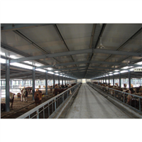 Prefab Steel Structure Barn for Cattle Shed / Cow Shed / Dairy Farm Building