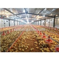 Semi- &amp;amp; Fully Automated Systems Laying Sheds / Prefabricated Steel Structure Agricultural Poultry House Construction