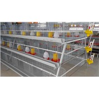 Chicken Layer Cages Battery Cages for Poultry System Poultry Farming Broiler Cage for Sale