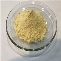 Pure Freeze Dried Durian Powder from Thailand