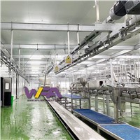 Cattle Abattoir Equipment Blood Trough for Beef Processing LIne