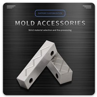 Customizable Mold Accessories (the Price Is Subject To Contact with the Seller)