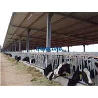 Low Price Standard Steel Structure Cowshed Building Hot Dip Galvanized Metal Cattle House