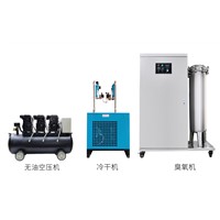 Air Source Ozone Generator for Food Industry