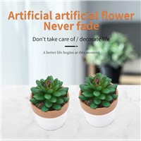 Artificial Flower5 Horticultural Plastic Simulation Flowers