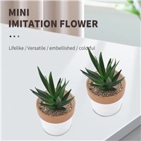 Artificial Flower3 Horticultural Plastic Simulation Flowers