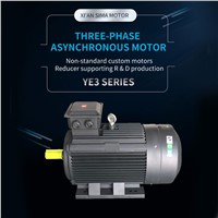 the YE3 Series Is Ultra-Efficient Three-Phase Asynchronous Motor, Support Customization
