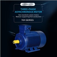 the YE4 Series Is Ultra-Efficient Three-Phase Asynchronous Motor, Support Customization