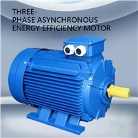(1) YE3 High Efficiency Three-Phase Asynchronous Motor, Please Contact Us by Email for Specific Price