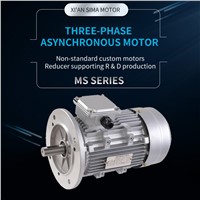 MS Series Aluminum Shell Three-Phase Asynchronous Motor, Support Customization
