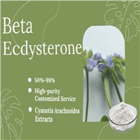 20-Hydroxyecdysone Ecdysone Beta Ecdysterone Powder CAS 5289-74-7 Cyanotis Arachnoidea Extract