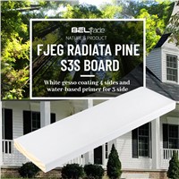 White Gesso Coating 4 Sides &amp;amp; Water-Based Primer for 3 Side FJEG Radiata Pine S3S Board