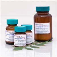 Docetaxel Trihydrate CAS 148408-66-6 Raw Material of Docetaxel Trihydrate