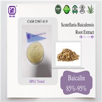 Top Quality Scutellaria Baicalensis Root Extract 85% 90% HPLC Baicalin