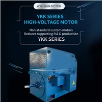 YKK Series High Voltage Motor, High Voltage Motor, Support Customization