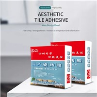 Kejia Aesthetic Tile Adhesive Strong Adhesive Waterproof Type Support Customization