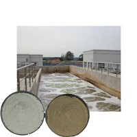 Environmental Protection Sewage Treatment Bacteria for Industrial Municipal Sewage Treatment