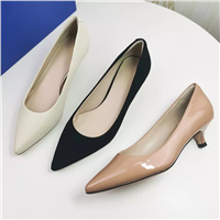 Hot Sales Business Office Lady Low Heels Shoes Fashionable Pointed Toe Thin Pumps Elegant High Heels Shoes