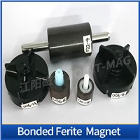 Plastic Injection Sintered Ferrite Magnet Multi-Polar Magnetic Ring Apply to Electronic Pump