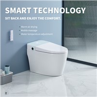 Multifunctional Intelligent Toilet with Warm Air Drying, Mobile Massage, Water Temperature Adjustment &amp;amp; Air Temperatur