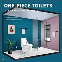 One Piece Bidet Innovative Ultra Thin Lipless Rim, No Dead Space for Cleaning, Wide Seat, Super Whirlpool Flush