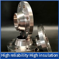 Tiger-Ti Small WN Necked Butt Weld Flange RJ-Ring Connection Sealing Surface Support Customization