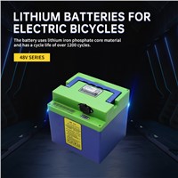 Nizong Lizhong 48V Series Lithium Battery for Electric Bicycle