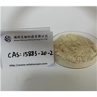 Ethyl 2-Phenylacetoacetate CAS: 15883-20-2