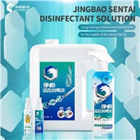 Moringa Disinfectant Washing up Liquid Multiple Contents to Choose from