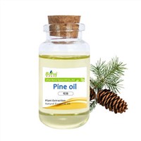 Light Yellow Transparent Oily Liquid Versatile Pine Oil Which Are Popular &amp;amp; Can Be Divided into Four Grades