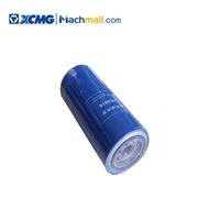 XCMG Chinese Micro Wheel Loader Spare Parts Filter*860135411 Hot Sale