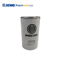 XCMG Compact Small Wheel Loader Spare Parts Fuel Secondary Filter*860139614 Hot Sale