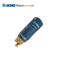 XCMG Professional 1.5 Ton Cheap Wheel Loader Parts 860147023*Fuel Filter Element for Sale