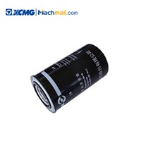 XCMG Mini Telescopic Wheel Loader Spare Parts Diesel Filter*860113017 for Sale