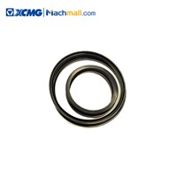 XCMG 2 Ton Heavy Duty Wheel Loader Spare Parts Gearbox Rotary Oil Seal Pack RZ*860167248