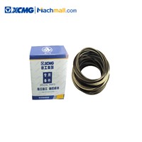 XCMG Wheel Loader 2 Ton Articulated Mini Spare Parts SOMA Transaxle Seal Pack RZ*860167252