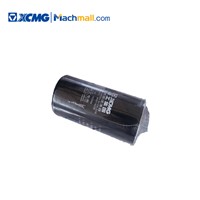 XCMG Chinese Professional Wheel Loader Spare Parts Transmission Filter*860116239 Price for Sale