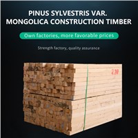 Ordering Products Can Be Contacted by Mail. Wood of Pinus Sylvestris Var. Mongolica