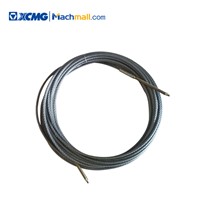 XCMG 1Ton Jib Crane Spare Parts Fine Cable I/Fine Cable II *860158646 / 860158647 Price for Sale