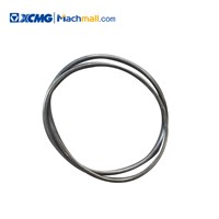 XCMG 1200 Ton Crane Spare Parts Tire Seals OR325*803269239 Best Price for Sale