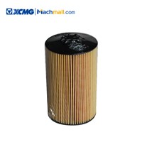 XCMG New 50 Ton Crane Spare Parts 200V05504-0122 Oil Filter Element 819964675 Price