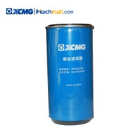 XCMG Hoisting Machinery Crawler Cranes Spare Parts Fuel Primary Filter Element 860548798/860548799
